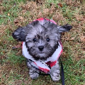 Meet your Posher, Stacey